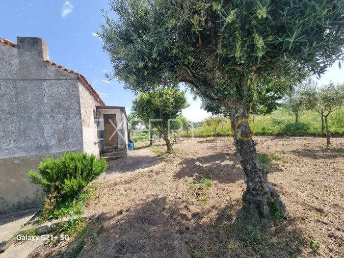 Quinta T3 para Venda em São Paio Foto 11