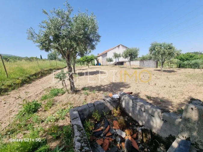 Quinta T3 para Venda em São Paio Foto 12