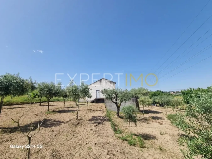 Quinta T3 para Venda em São Paio Foto 13