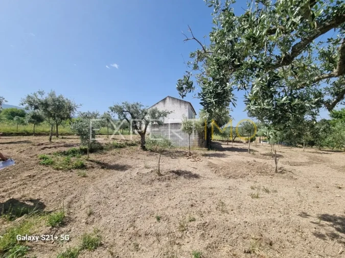 Quinta T3 para Venda em São Paio Foto 14