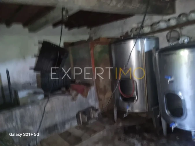 Quinta T3 para Venda em São Paio Foto 26