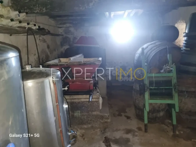 Quinta T3 para Venda em São Paio Foto 27