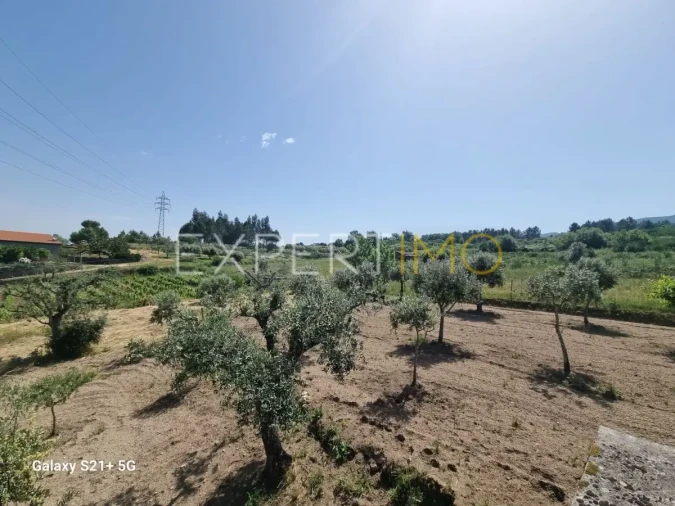 Quinta T3 para Venda em São Paio Foto 36