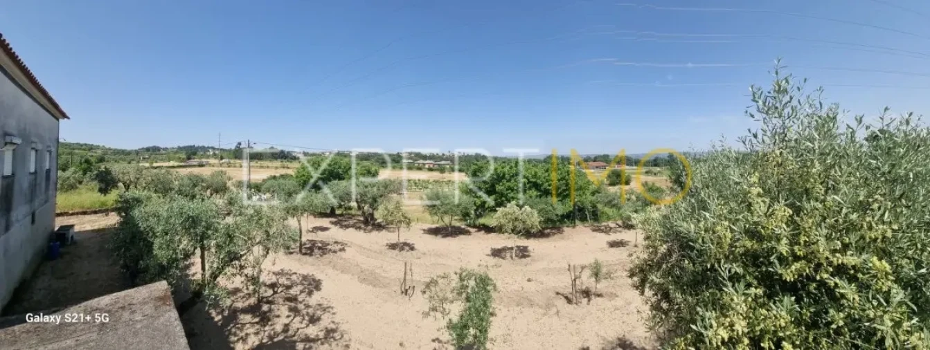 Quinta T3 para Venda em São Paio Foto 37