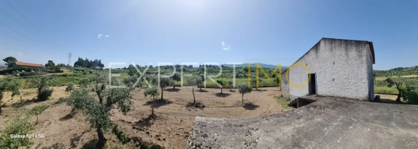 Quinta T3 para Venda em São Paio Foto 38