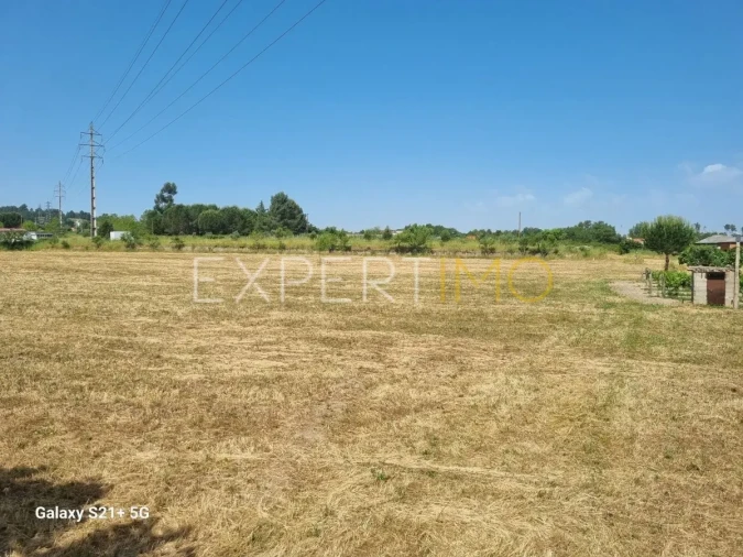 Quinta T3 para Venda em São Paio Foto 40