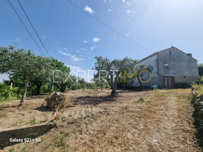 Quinta T3 para Venda em São Paio Foto 8