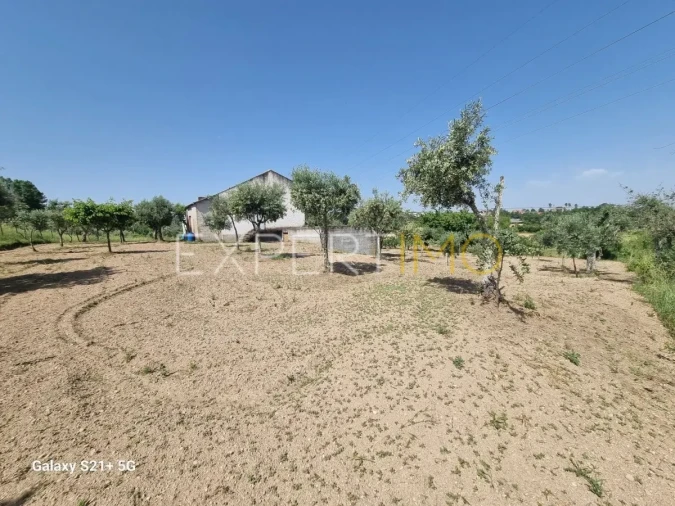 Quinta T3 para Venda em São Paio Foto 9