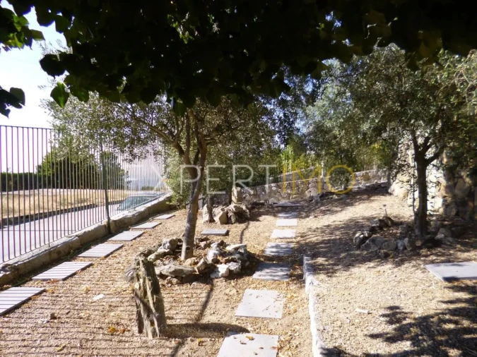 Moradia T3 para Venda em Aldeias e Mangualde da Serra Foto 10