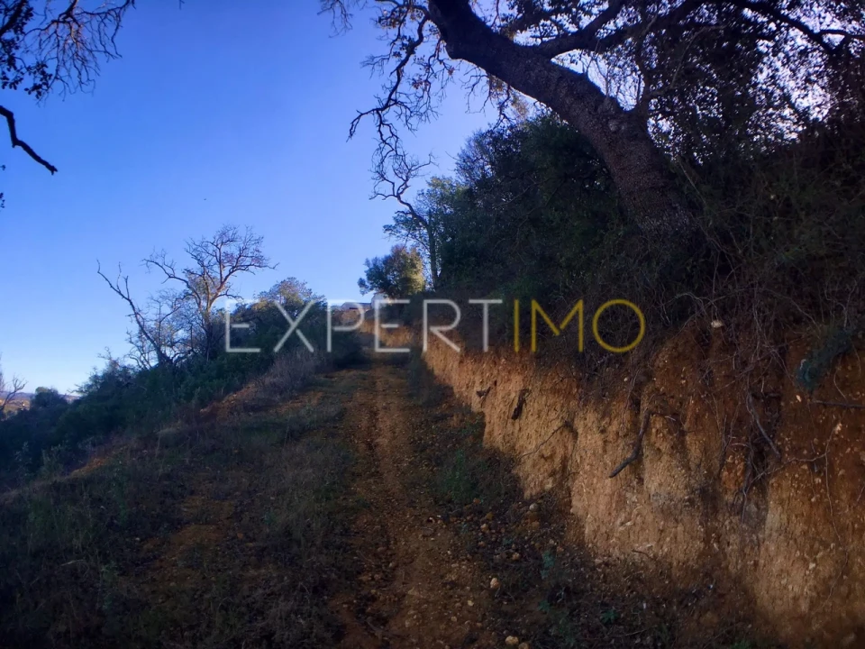 Moradia T3 para Venda em Algoz e Tunes Foto 55