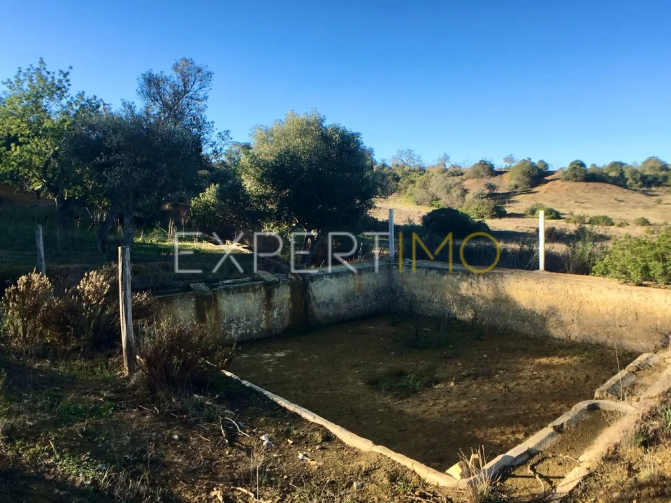 Moradia T3 para Venda em Algoz e Tunes Foto 56