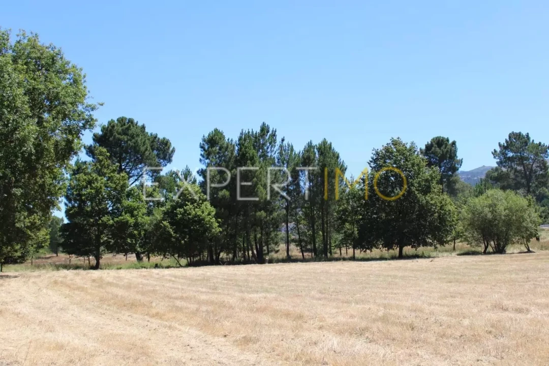 Terreno para Venda em Seia, São Romão e Lapa dos Dinheiros Foto 10