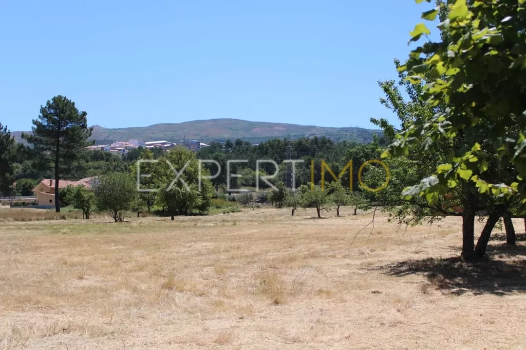 Terreno para Venda em Seia, São Romão e Lapa dos Dinheiros Foto 11