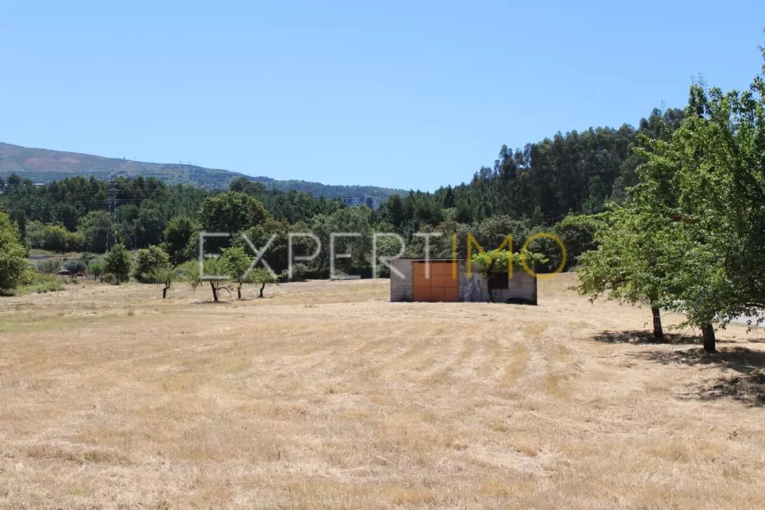 Terreno para Venda em Seia, São Romão e Lapa dos Dinheiros Foto 9