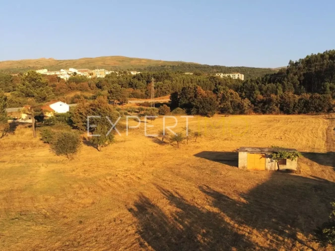 Terreno para Venda em Seia, São Romão e Lapa dos Dinheiros Foto 3