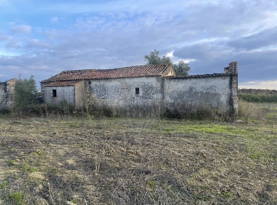 Moradia T3 para Venda em São Vicente do Paul e Vale de Figueira Foto 5