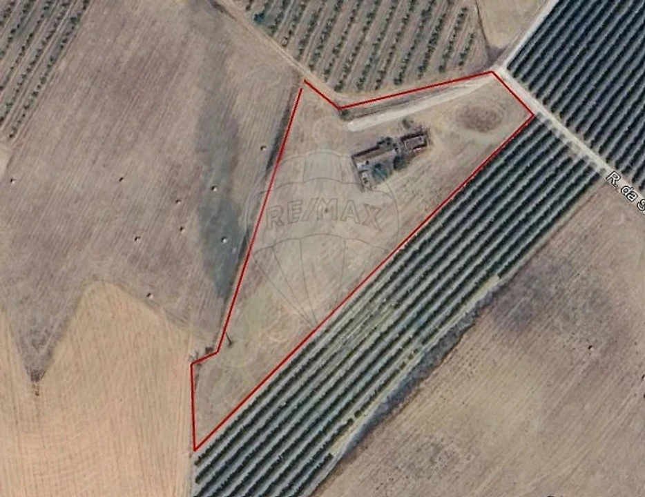 Moradia T3 para Venda em São Vicente do Paul e Vale de Figueira Foto 9