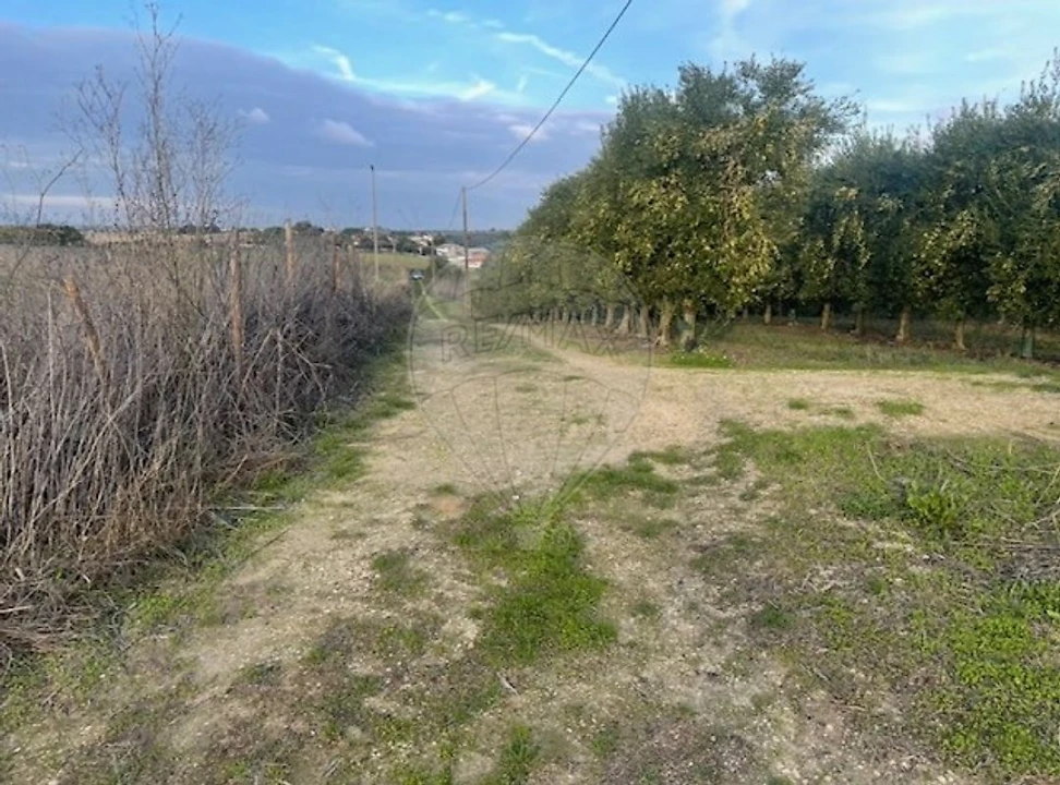 Moradia T3 para Venda em São Vicente do Paul e Vale de Figueira Foto 1