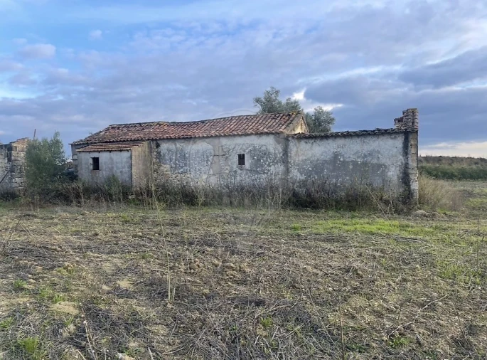 Moradia T3 para Venda em São Vicente do Paul e Vale de Figueira Foto 5