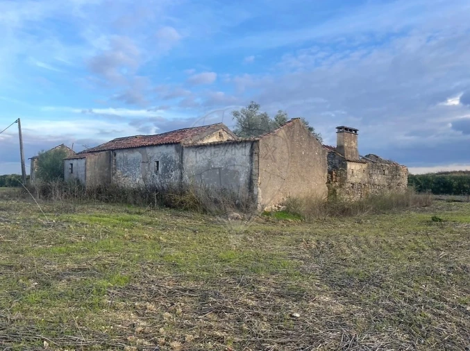 Moradia T3 para Venda em São Vicente do Paul e Vale de Figueira Foto 6