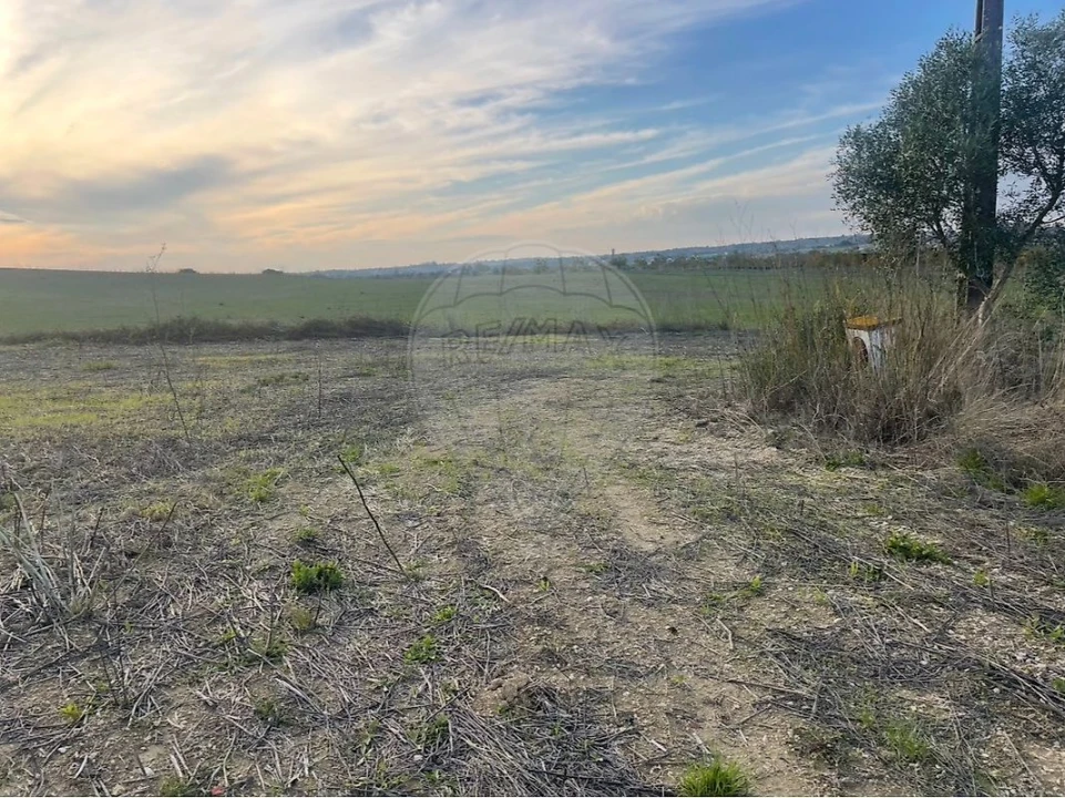 Moradia T3 para Venda em São Vicente do Paul e Vale de Figueira Foto 3