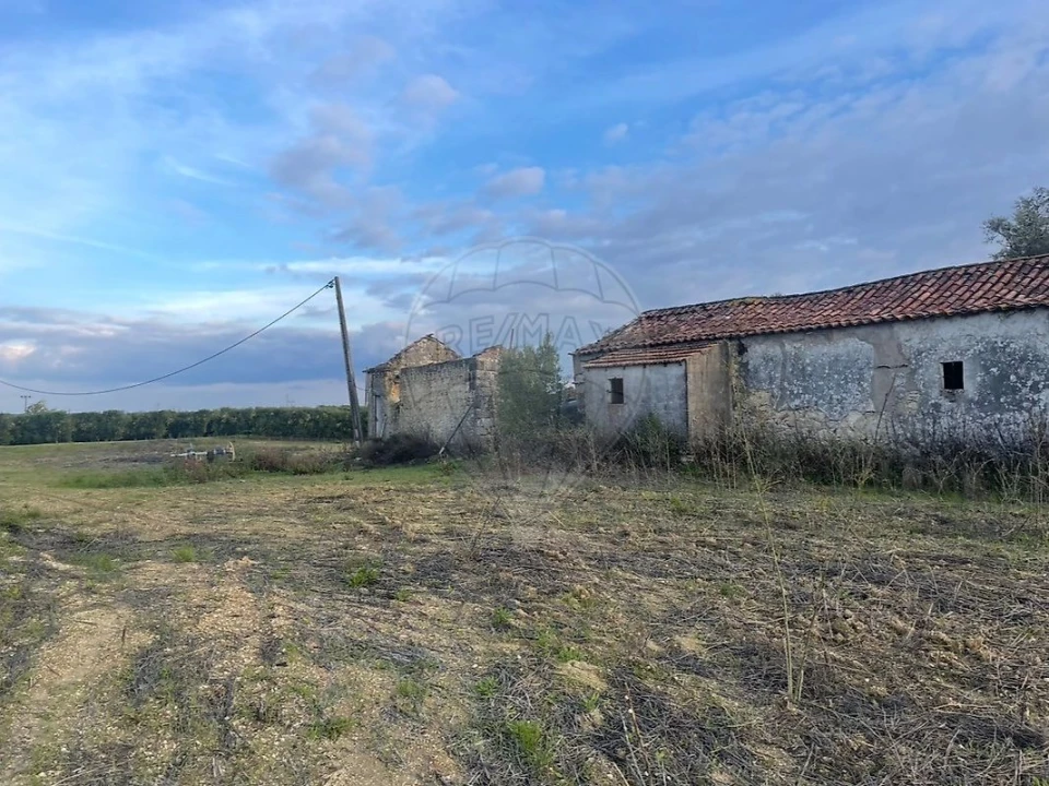 Moradia T3 para Venda em São Vicente do Paul e Vale de Figueira Foto 4