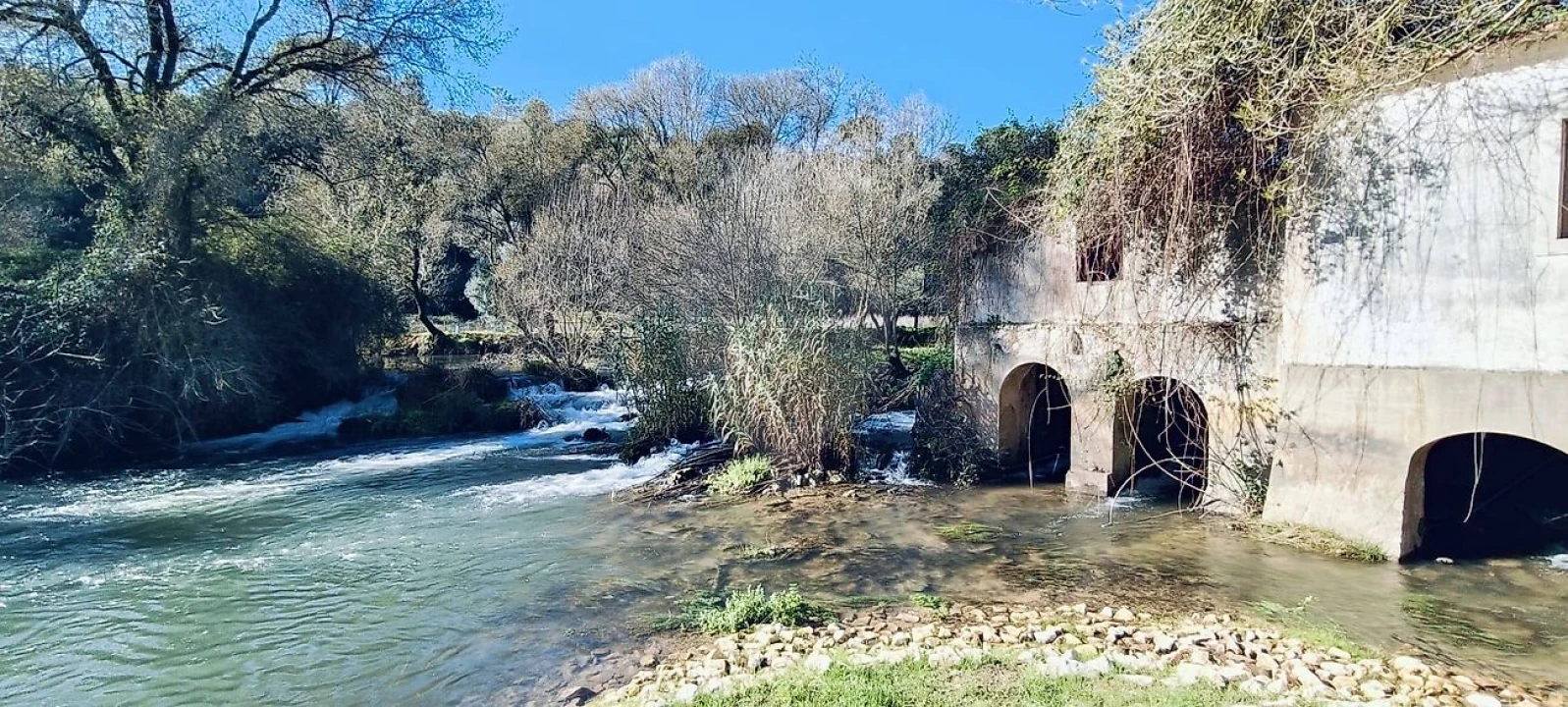 Armazém para Venda em Casével e Vaqueiros Foto 8