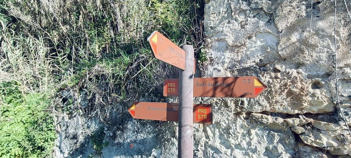 Armazém para Venda em Casével e Vaqueiros Foto 3