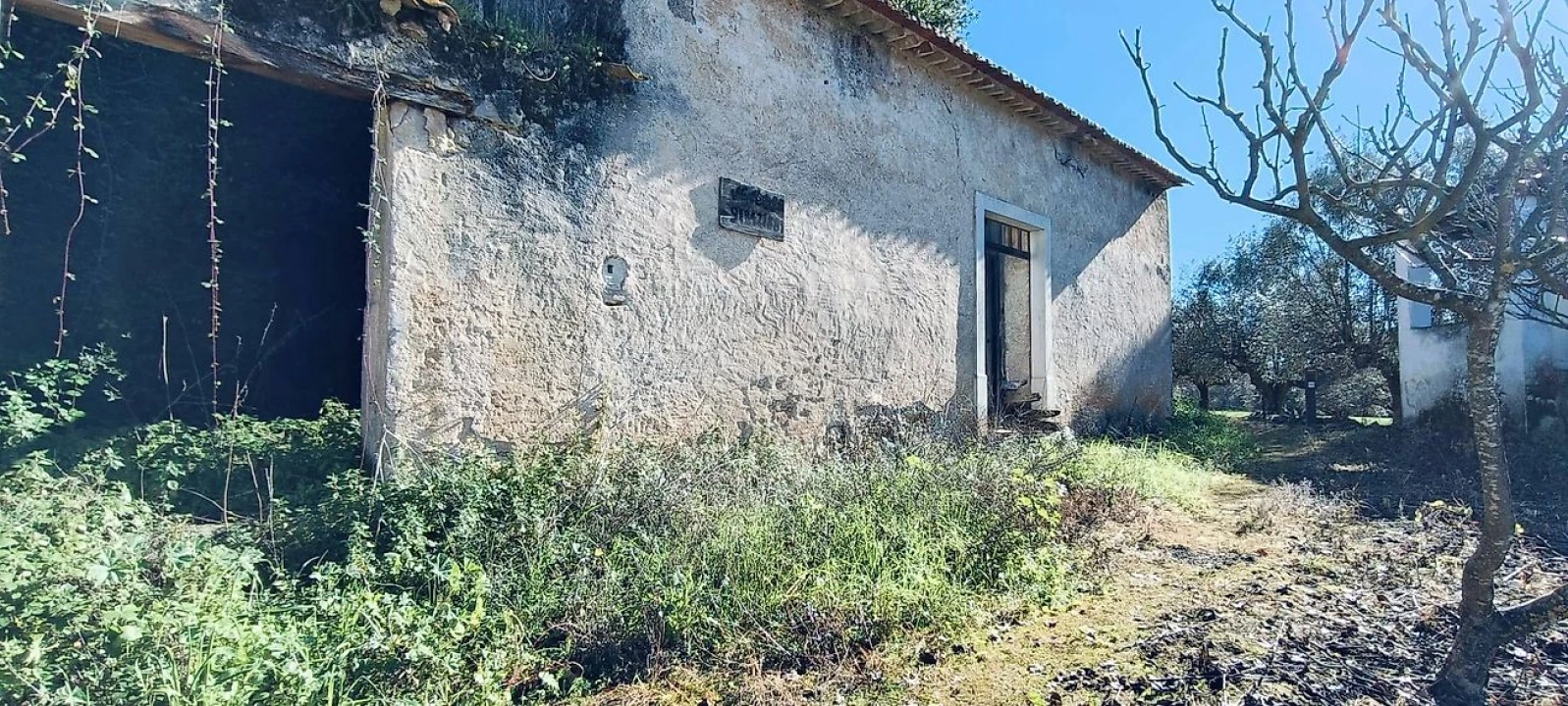 Armazém para Venda em Casével e Vaqueiros Foto 5