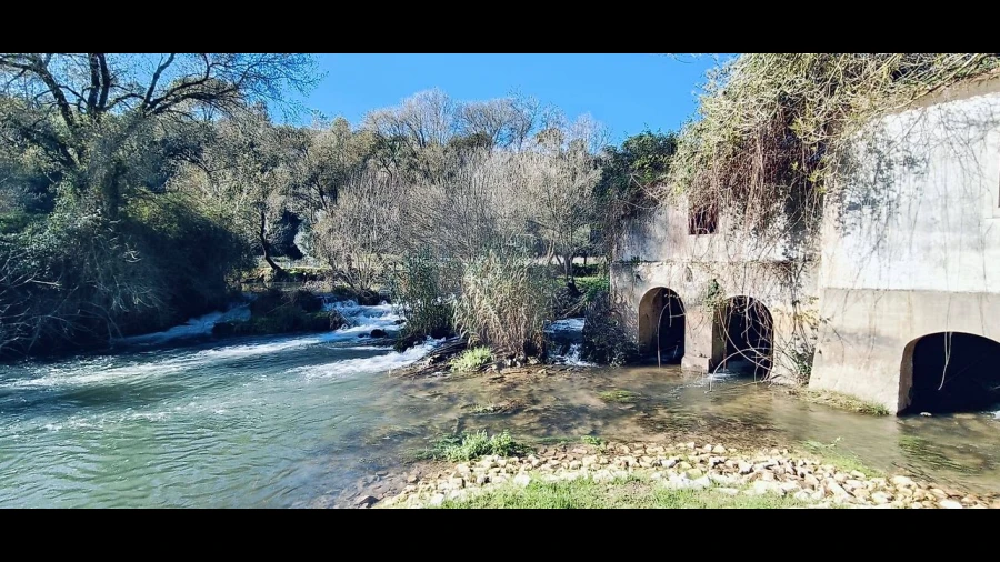 Armazém para Venda em Casével e Vaqueiros