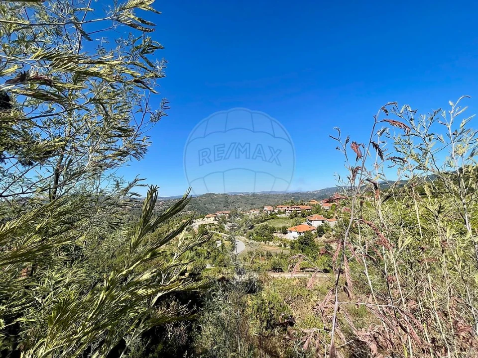 Quinta T4 para Venda em Várzea, Aliviada e Folhada Foto 28