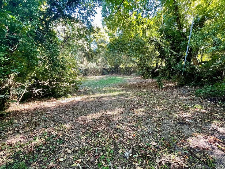 Quinta T4 para Venda em Várzea, Aliviada e Folhada Foto 29