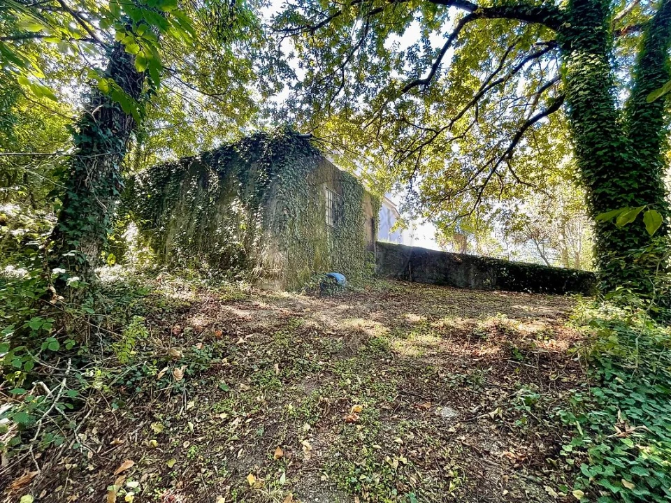 Quinta T4 para Venda em Várzea, Aliviada e Folhada Foto 30