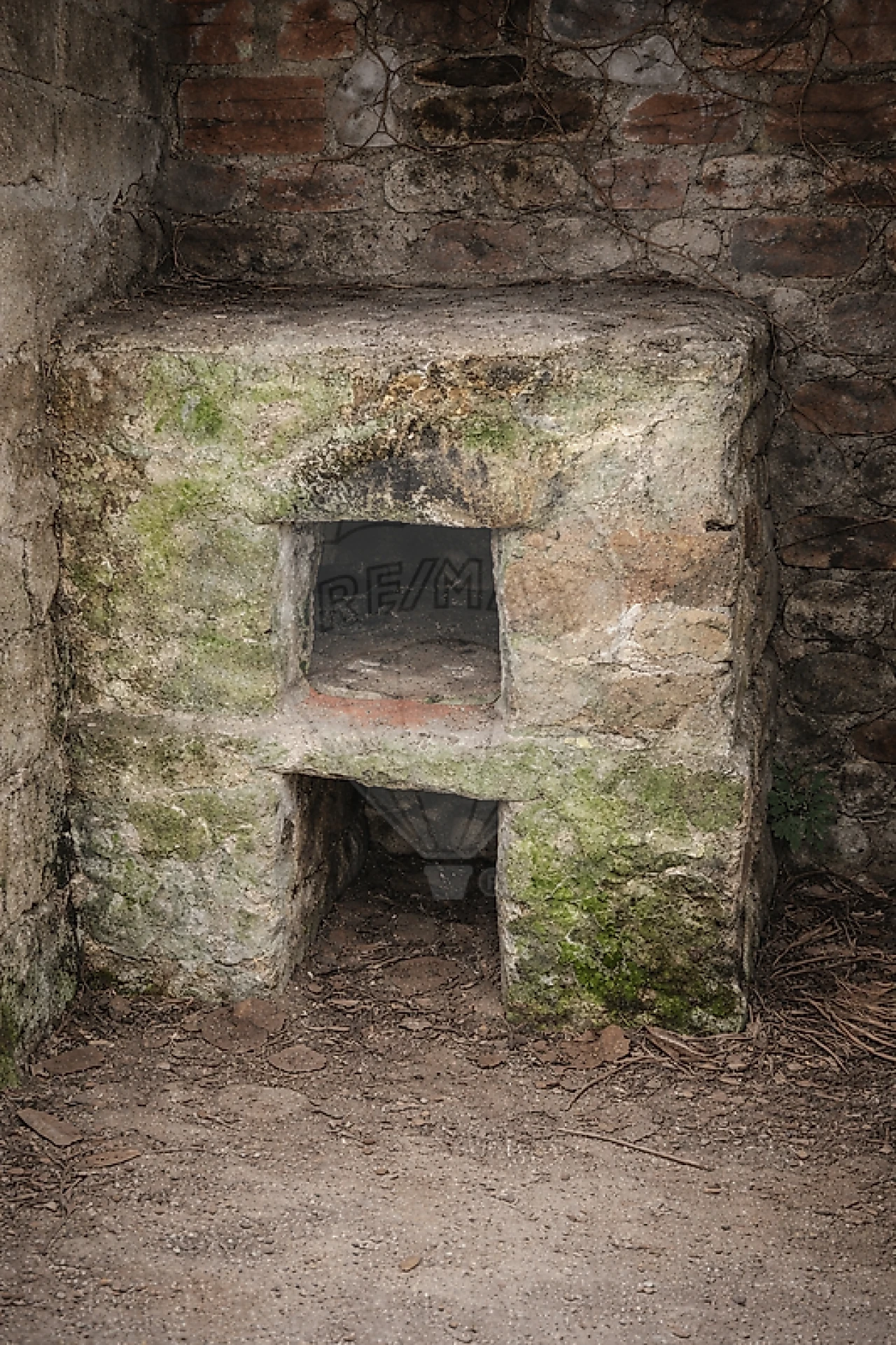 Moradia T3 para Venda em Salvador e Santo Aleixo de Além-Tâmega Foto 6