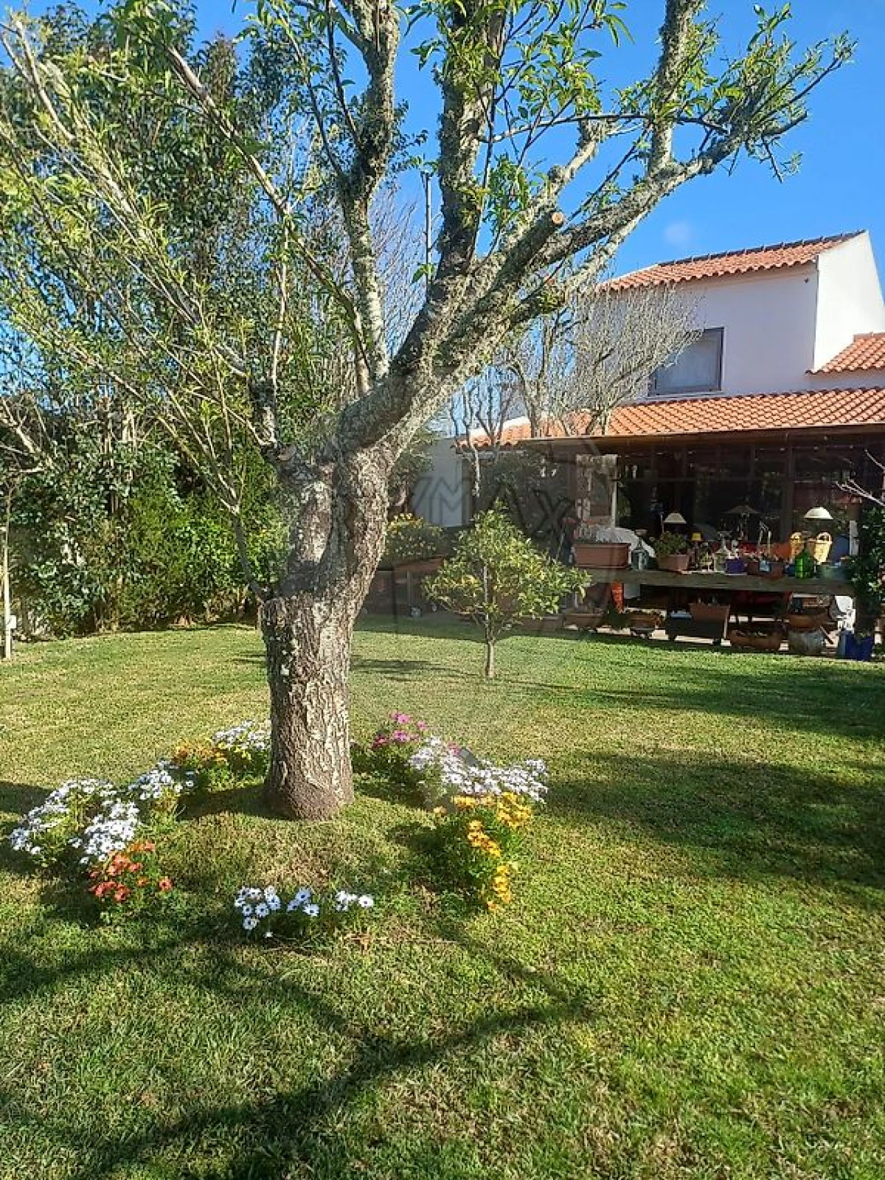 Moradia T2 para Venda em Colares Foto 1