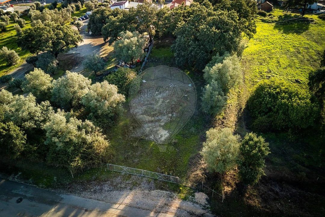 Terreno para Venda em Rio Maior Foto 16