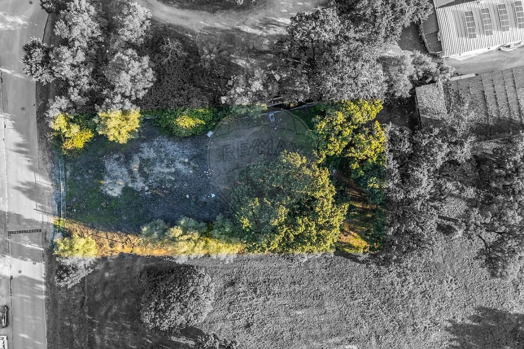 Terreno para Venda em Rio Maior Foto 3