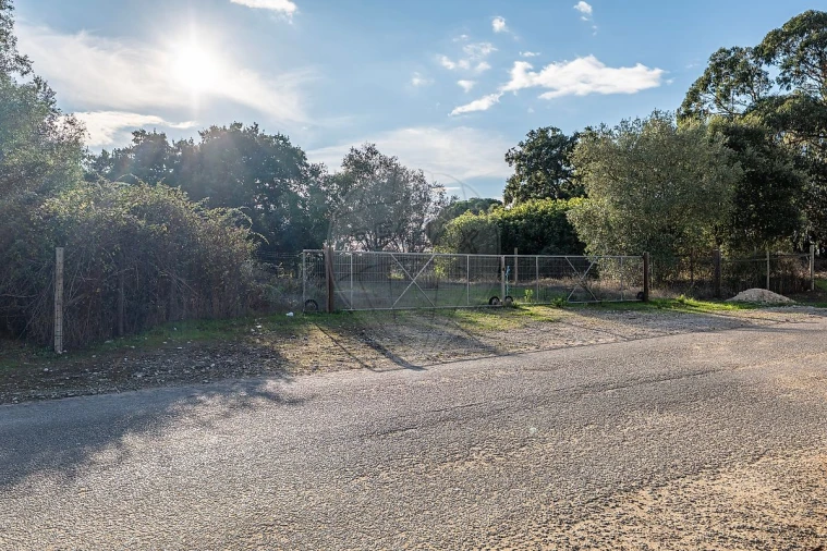 Terreno para Venda em Rio Maior Foto 4