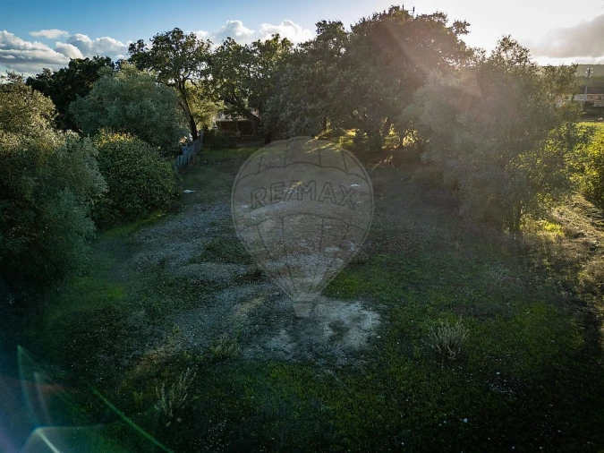 Terreno para Venda em Rio Maior Foto 34