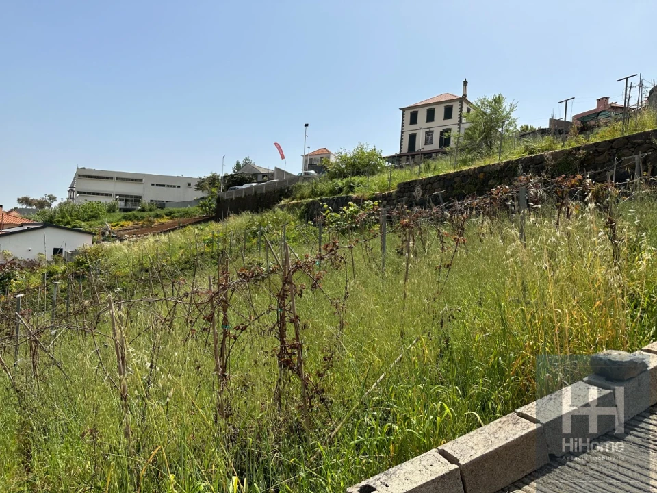 Terreno para Venda em Santo Antonio Foto 3