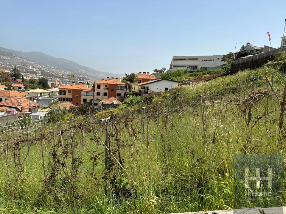 Terreno para Venda em Santo Antonio Foto 2