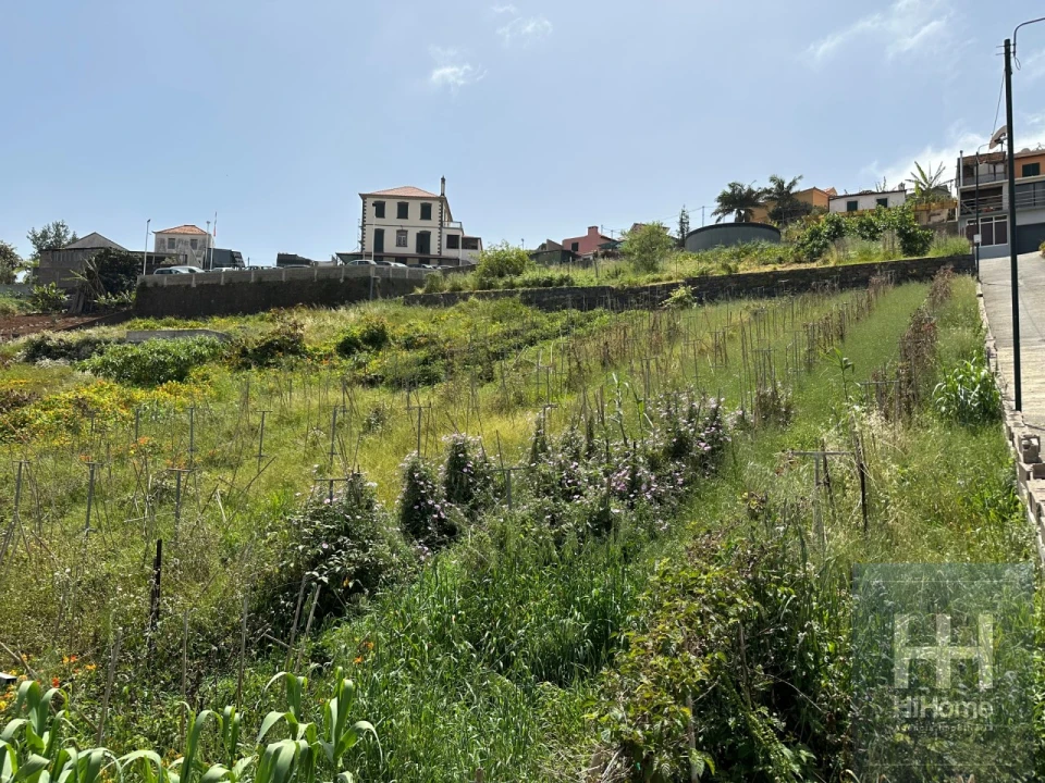 Terreno para Venda em Santo Antonio Foto 7