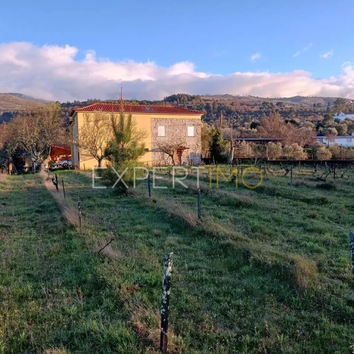 Moradia T4 para Venda em São Paio Foto 2