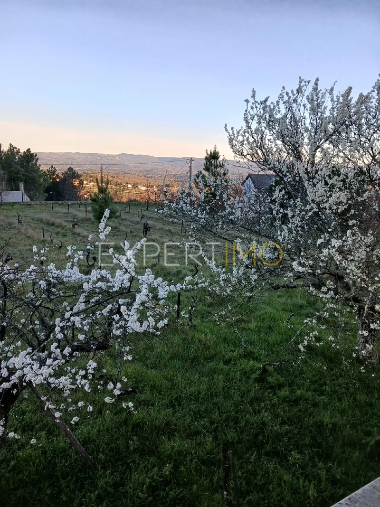 Moradia T4 para Venda em São Paio Foto 60