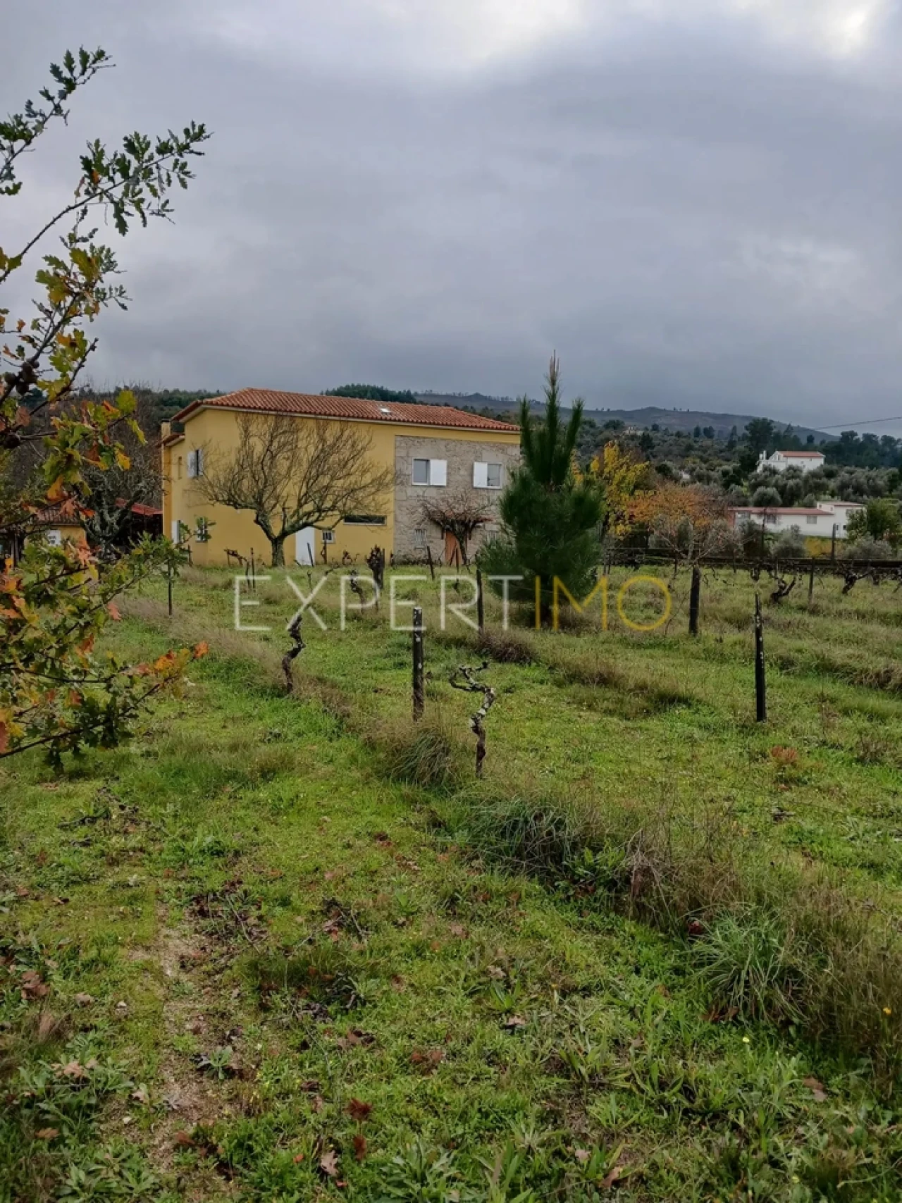 Moradia T4 para Venda em São Paio Foto 61