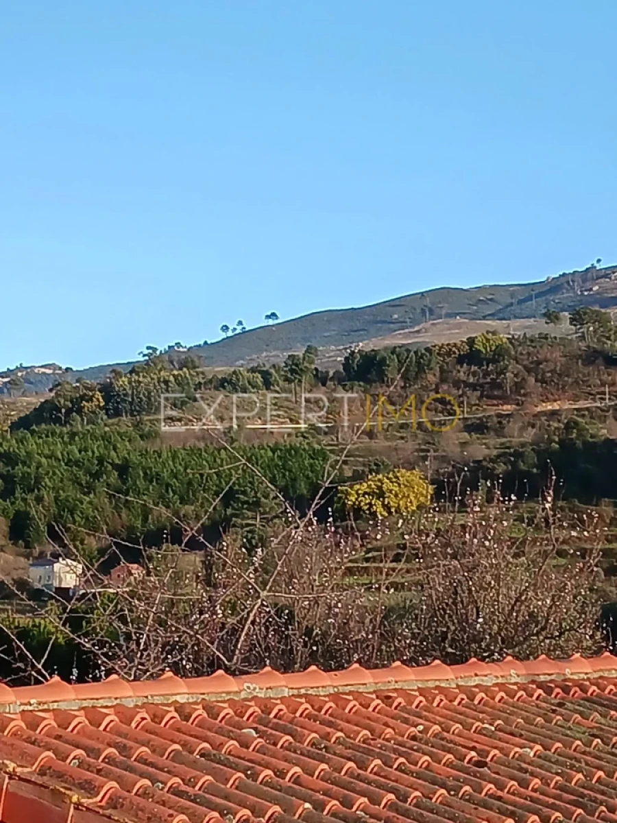 Moradia T4 para Venda em São Paio Foto 55