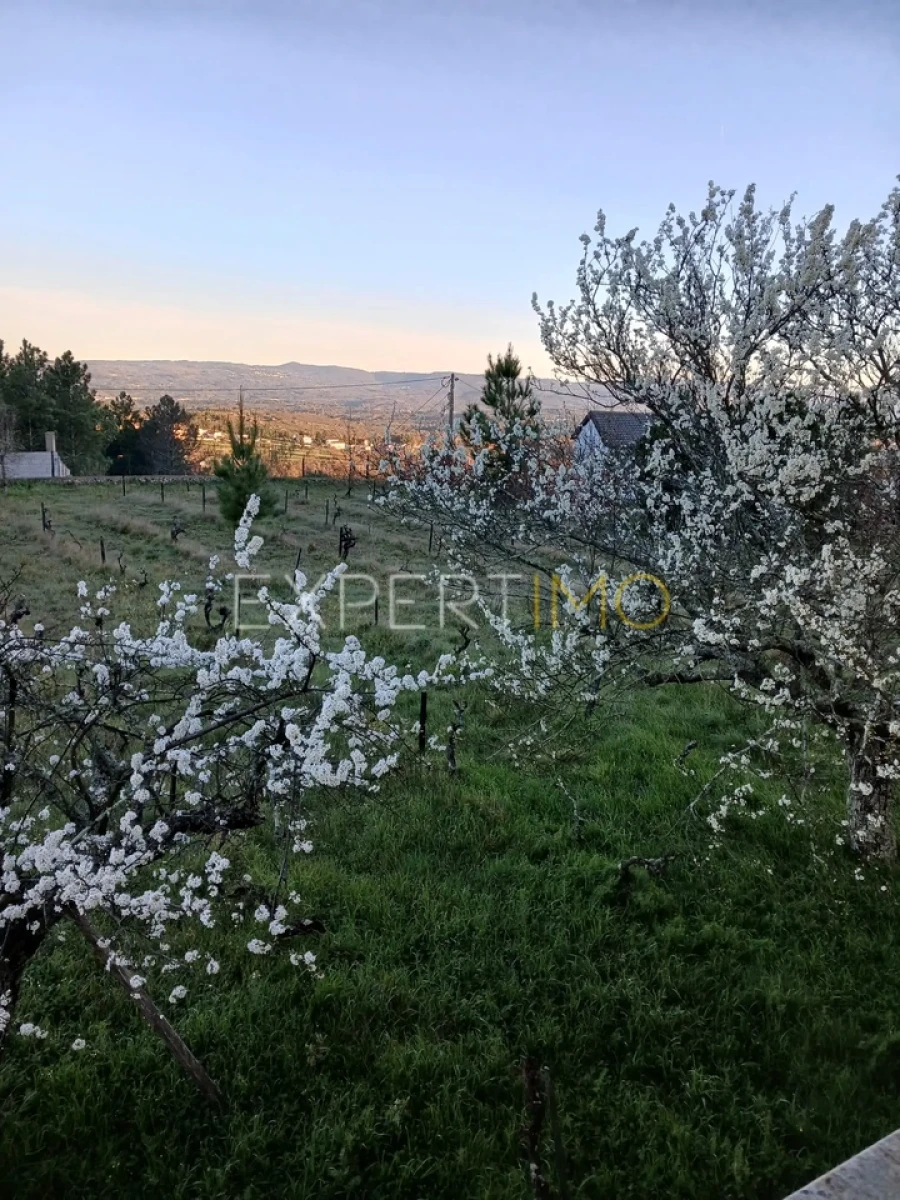 Moradia T4 para Venda em São Paio Foto 60