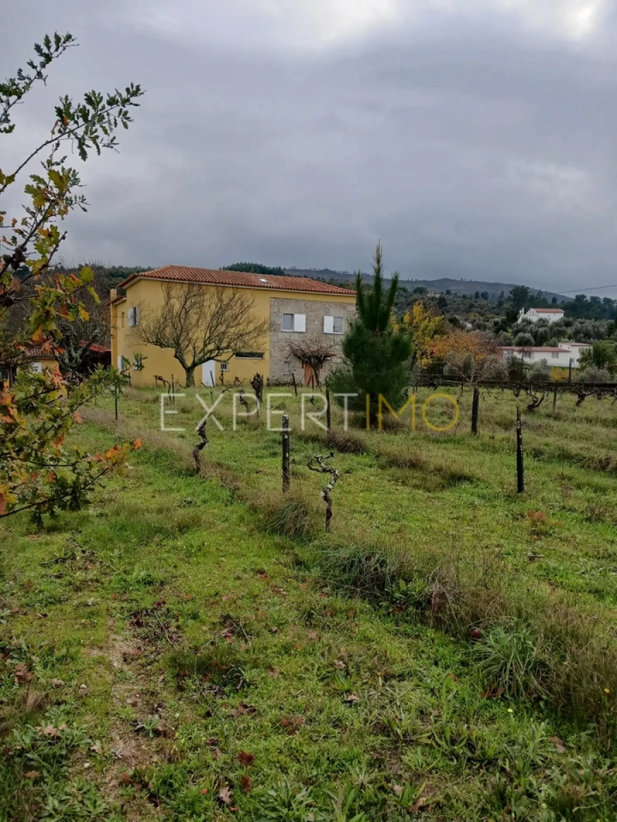 Moradia T4 para Venda em São Paio Foto 61