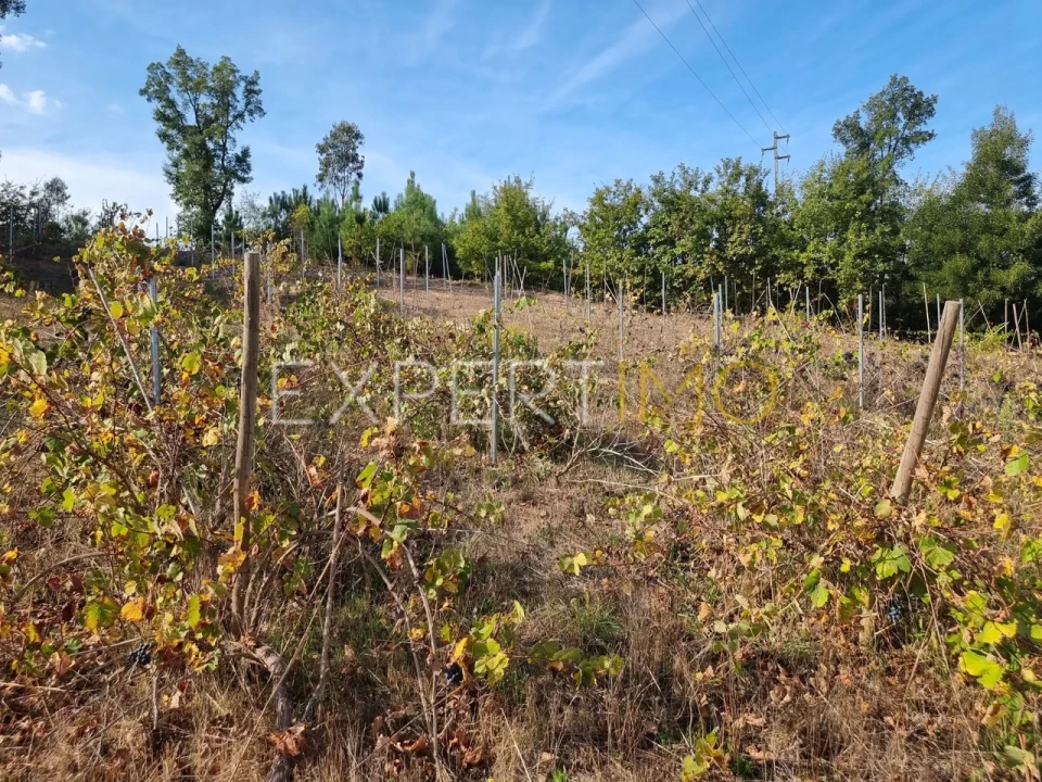 Moradia T3 para Venda em Treixedo e Nagozela Foto 20