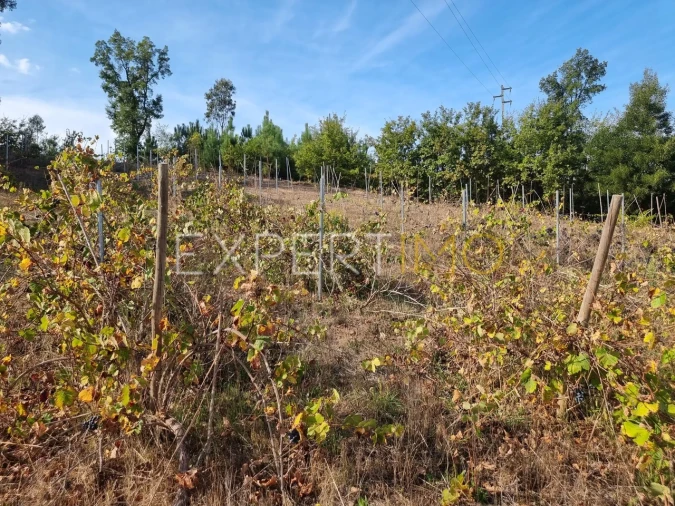 Moradia T3 para Venda em Treixedo e Nagozela Foto 20